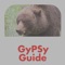 GyPSy Guide’s narrated driving tour for the Canadian Rockies National Parks, is an excellent way to enjoy all the benefits of a guided tour while you explore at your own pace