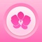 Icon Menstrual Cycle Tracker