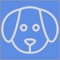 Identify a dog's breed using your camera