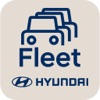 Hyundai Auto Link(Fleet)