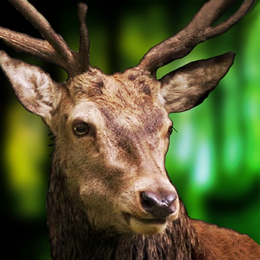 Deer Sniper | 3D Hunting Games icon