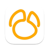 Navicat 16 for SQL Server