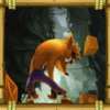 FoxBoy Run