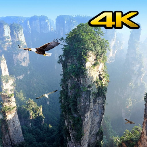 Background Videos 4K Download