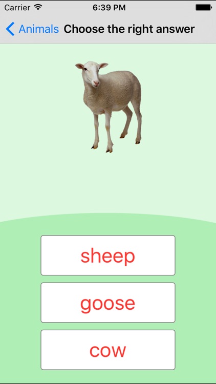 Animals Learning Cards screenshot-4