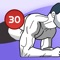 Icon Planks - 30 days challenge