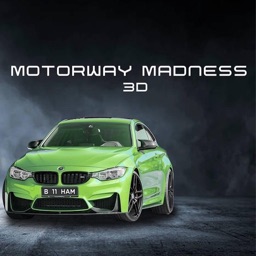 Motorway Madness 3D