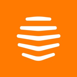Hive