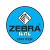 Zebra Taxi Drive