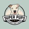 Super Pups Daycare, located in Conshohocken, PA, is a locally women owned and women operated upscale premier doggy daycare dedicated to treating your dog like family