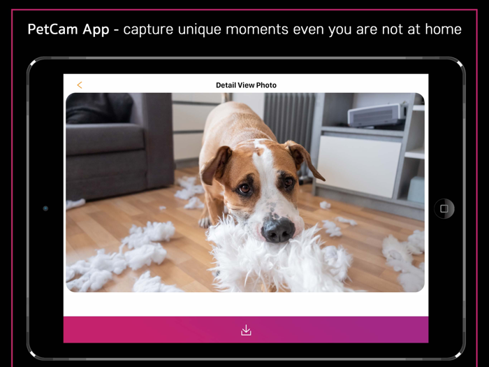 PetCam App - Dog Camera App