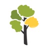 Elm Tree Care Services