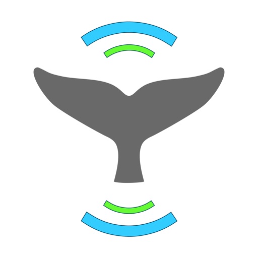 Whale Alert iOS App