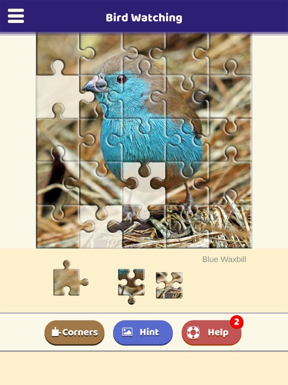 Bird Watching Puzzle screenshot 3