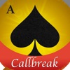 CallBreak-funny puzzle card