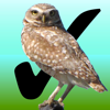 Birdwatcher's Diary - Stevens Creek Software