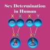 Sex Determination in Human