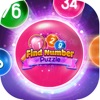 Find Number Puzzle