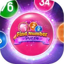 Find Number Puzzle