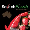 Select Fresh Providore