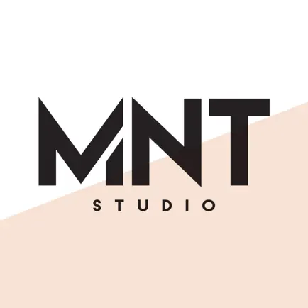 MNTSTUDIO Читы