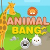 Animals Bang