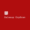 SalesUpErpScan