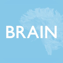 Brain Journal