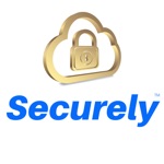Securely For Cars