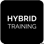 Hybrid-Training