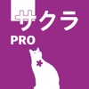 五十音圖Pro