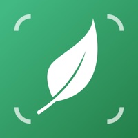 Contacter LiLy: Plant, Flower Identifier
