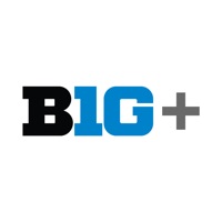 B1G+ logo