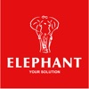 Elephant Wigan