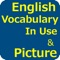 Icon English Vocabulary in Use