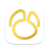 Navicat Premium 16