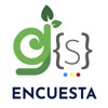 GSEncuesta