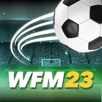 World Football Manager 2024 pc