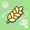 RicePlant 3D