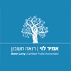 אמיר לוי רואה חשבון