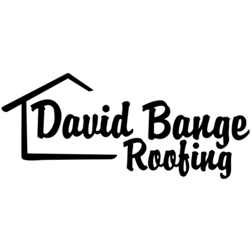 David's Roofing