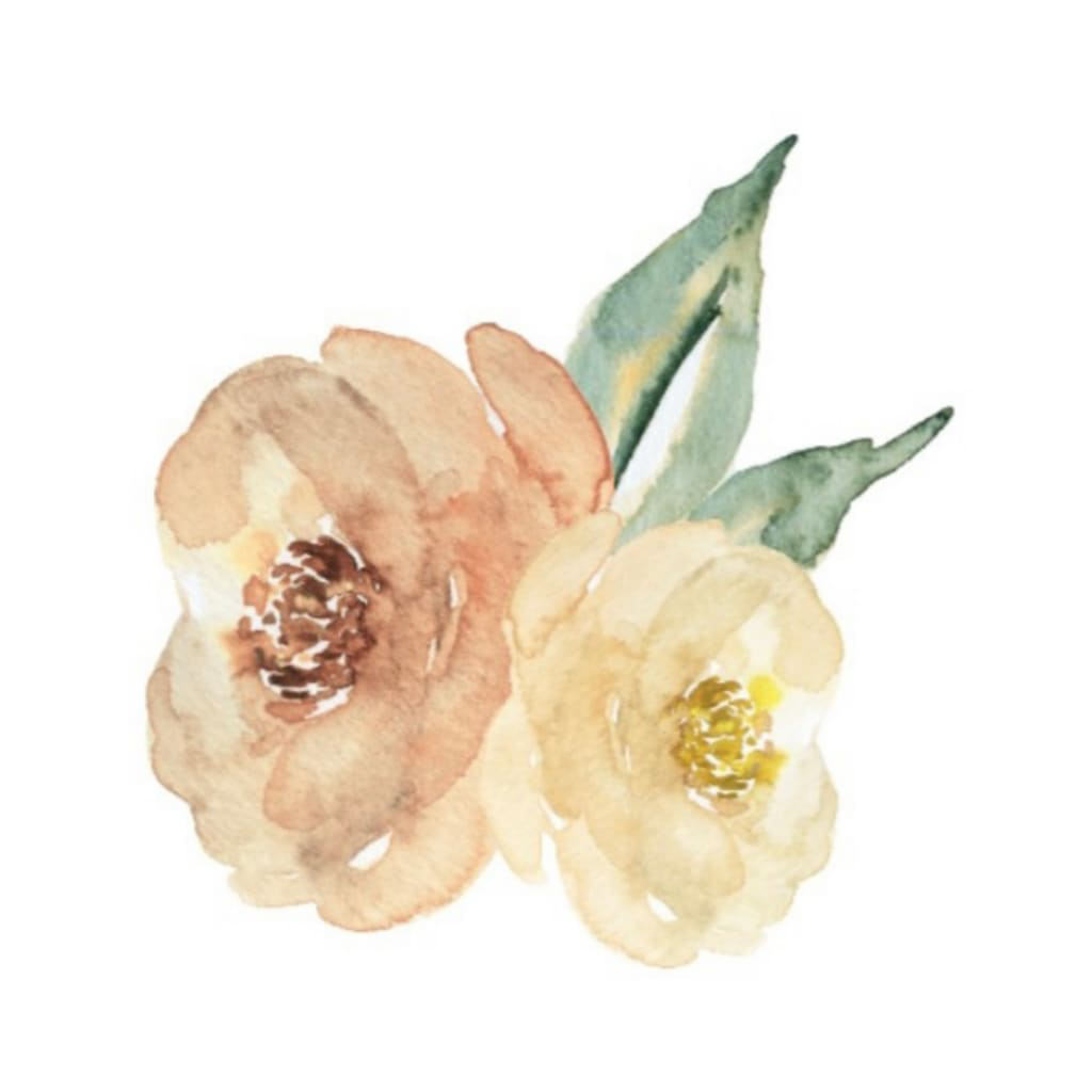 Get Adelines Closet Boutique for iOS, iPhone, iPad Aso Report