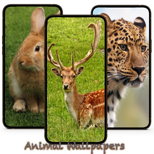 10000 Animal Wallpapers