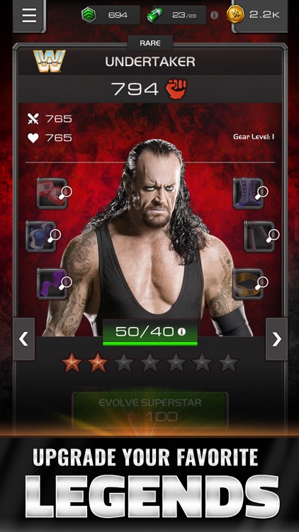 WWE Universe