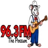 The Possum