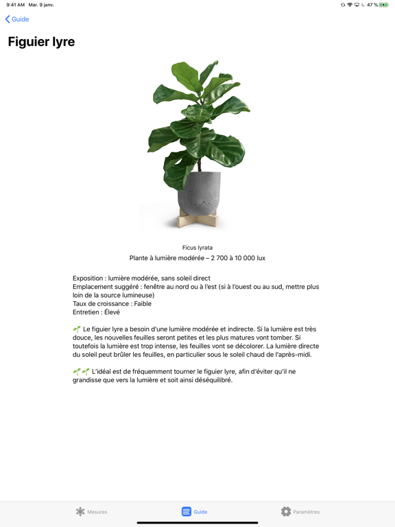 Plantes et Lumière Plantes et Lumière