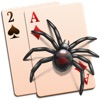 Spider Solitaire Game Box