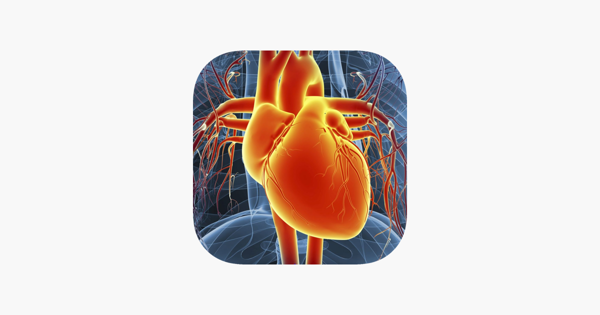 ‎Circulatory System Flashcards on the App Store