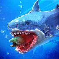  Fish Eater.io Application Similaire