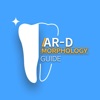 AR-D Morphology